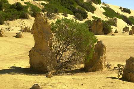 im Nambung NP (Pinnacles)