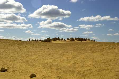 im Nambung NP (Pinnacles)